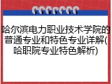 哈尔滨电力职业技术学院的普通专业和特色专业详解(哈职院专业特色解析)