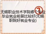 无锡职业技术学院哪个专业毕业就业前景比较好(无锡职院好就业专业)