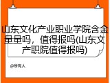 山东文化产业职业学院含金量量吗，值得报吗(山东文产职院值得报吗)