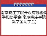 南京晓庄学院开设有哪些奖学和助学金(南京晓庄学院奖学金助学金)