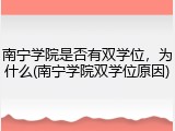 南宁学院是否有双学位，为什么(南宁学院双学位原因)
