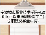 宁波城市职业技术学院就读期间可以申请哪些奖学金(宁职院奖学金申请)