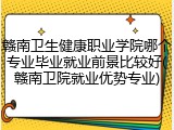 赣南卫生健康职业学院哪个专业毕业就业前景比较好(赣南卫院就业优势专业)