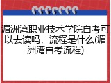 湄洲湾职业技术学院自考可以去读吗，流程是什么(湄洲湾自考流程)
