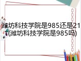 潍坊科技学院是985还是211(潍坊科技学院是985吗)