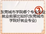 东莞城市学院哪个专业毕业就业前景比较好(东莞城市学院好就业专业)