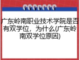 广东岭南职业技术学院是否有双学位，为什么(广东岭南双学位原因)
