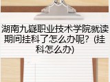 湖南九嶷职业技术学院就读期间挂科了怎么办呢？(挂科怎么办)
