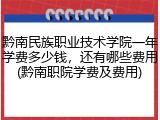黔南民族职业技术学院一年学费多少钱，还有哪些费用(黔南职院学费及费用)