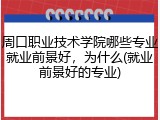 周口职业技术学院哪些专业就业前景好，为什么(就业前景好的专业)