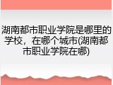 湖南都市职业学院是哪里的学校，在哪个城市(湖南都市职业学院在哪)