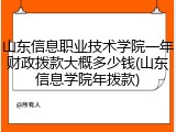 山东信息职业技术学院一年财政拨款大概多少钱(山东信息学院年拨款)