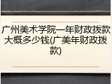 广州美术学院一年财政拨款大概多少钱(广美年财政拨款)