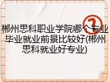 郴州思科职业学院哪个专业毕业就业前景比较好(郴州思科就业好专业)