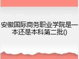 安徽国际商务职业学院是一本还是本科第二批