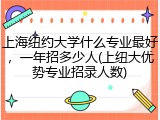 上海纽约大学什么专业最好，一年招多少人(上纽大优势专业招录人数)