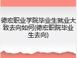 德宏职业学院毕业生就业大致去向如何(德宏职院毕业生去向)