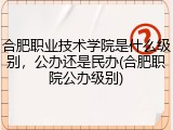 合肥职业技术学院是什么级别，公办还是民办(合肥职院公办级别)