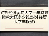 对外经济贸易大学一年财政拨款大概多少钱(对外经贸大学年拨款)