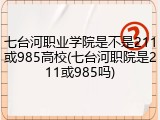 七台河职业学院是不是211或985高校(七台河职院是211或985吗)