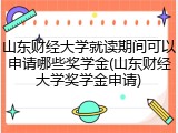 山东财经大学就读期间可以申请哪些奖学金(山东财经大学奖学金申请)
