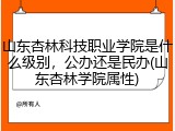 山东杏林科技职业学院是什么级别，公办还是民办(山东杏林学院属性)