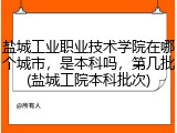 盐城工业职业技术学院在哪个城市，是本科吗，第几批(盐城工院本科批次)