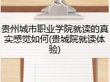 贵州城市职业学院就读的真实感觉如何(贵城院就读体验)