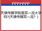 天津传媒学院是双一流大学吗?(天津传媒双一流？)