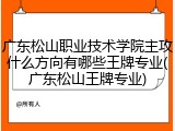 广东松山职业技术学院主攻什么方向有哪些王牌专业(广东松山王牌专业)