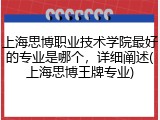 上海思博职业技术学院最好的专业是哪个，详细阐述(上海思博王牌专业)
