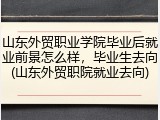 山东外贸职业学院毕业后就业前景怎么样，毕业生去向(山东外贸职院就业去向)
