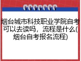 烟台城市科技职业学院自考可以去读吗，流程是什么(烟台自考报名流程)