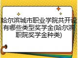 哈尔滨城市职业学院共开设有哪些类型奖学金(哈尔滨职院奖学金种类)