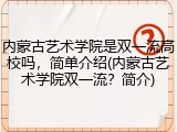 内蒙古艺术学院是双一流高校吗，简单介绍(内蒙古艺术学院双一流？简介)