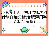 合肥通用职业技术学院招生计划详细分析(合肥通用学院招生解析)