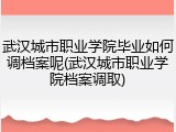 武汉城市职业学院毕业如何调档案呢(武汉城市职业学院档案调取)