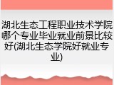 湖北生态工程职业技术学院哪个专业毕业就业前景比较好(湖北生态学院好就业专业)