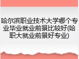 哈尔滨职业技术大学哪个专业毕业就业前景比较好(哈职大就业前景好专业)