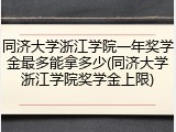 同济大学浙江学院一年奖学金最多能拿多少(同济大学浙江学院奖学金上限)