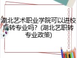 湖北艺术职业学院可以进校后转专业吗？(湖北艺职转专业政策)