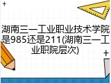 湖南三一工业职业技术学院是985还是211(湖南三一工业职院层次)