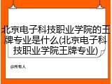 北京电子科技职业学院的王牌专业是什么(北京电子科技职业学院王牌专业)