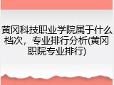 黄冈科技职业学院属于什么档次，专业排行分析(黄冈职院专业排行)