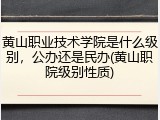 黄山职业技术学院是什么级别，公办还是民办(黄山职院级别性质)