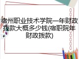 宿州职业技术学院一年财政拨款大概多少钱(宿职院年财政拨款)