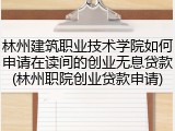 林州建筑职业技术学院如何申请在读间的创业无息贷款(林州职院创业贷款申请)