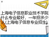 上海电子信息职业技术学院什么专业最好，一年招多少人(上海电子信息专业招生)