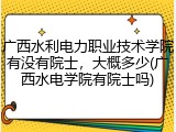 广西水利电力职业技术学院有没有院士，大概多少(广西水电学院有院士吗)