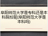 阜阳师范大学是专科还是本科院校呢(阜阳师范大学是本科吗)